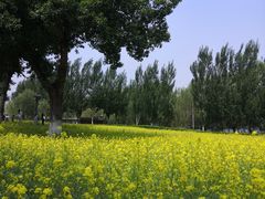 -长白岛森林公园