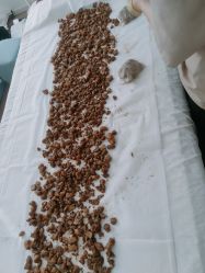 -姜美堂·蒸姜除湿の纤体美颜馆