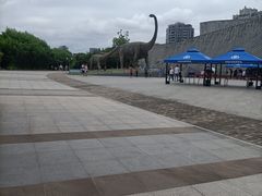 -安徽省地质博物馆