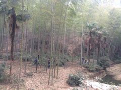 -黄公望隐居地