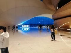 -哈尔滨大剧院