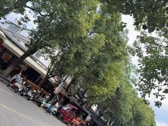 -素乐餐厅