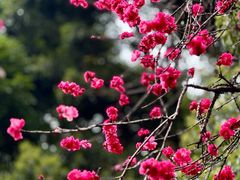 -成都市活水公园
