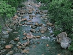 -海南热带雨林国家公园吊罗山景区