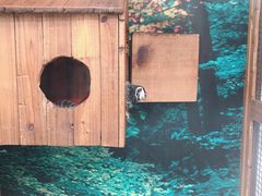 -上海大自然野生昆虫馆(东方明珠·爬宠昆虫探索中心)