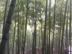 -东天目山风景区