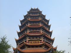 -铁山坪森林公园