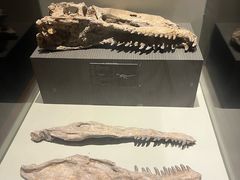 -世界恐龙谷景区