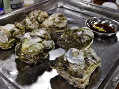 清蒸生蚝-江村四哥新鲜牛肉店(江高总店)