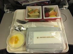 -全日本空输株式会社(上海办事处)