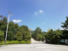 -九龙江国家森林公园