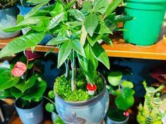 -何兮花店·气球派对鲜花店(马桥银春路万科城店)