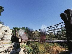 -北京西山国家森林公园