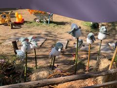 -HERRE·FARM 赫尔露营农场·团建聚会包场