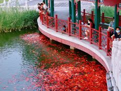 -西海子公园