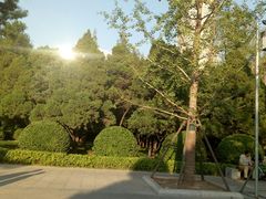 -迎泽公园