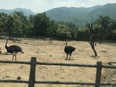 -西安秦岭野生动物园