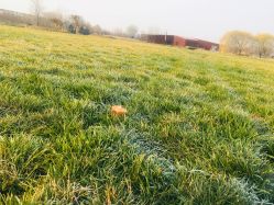 -圣露庄园·草坪婚礼·宴会厅·会议