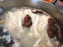-鸭嘴鱼