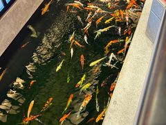 -龙悦湾酒家·八阵鱼生·渔人码头店