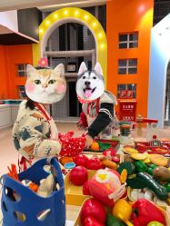 -meland club亲子乐园(重庆万象城店)