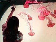 -沈阳海洋探索中心