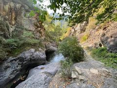 -云岫谷游猎自然风景区