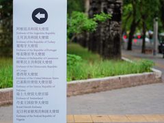 -三里屯东五街银杏大道