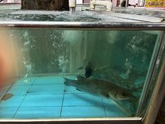 -新渔之道餐厅(塘厦店)