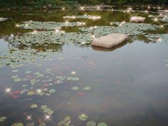 -白马涧龙池景区