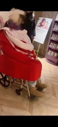 -喜孕时光月子中心(北大妇儿东侧店)