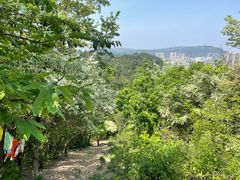 -青龙山国家森林公园