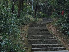 -黄埔油麻山森林公园