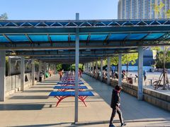 -滨河世纪广场公园