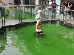 -陕西自然博物馆