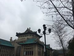 -武汉大学-樱园