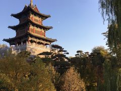 -迎泽公园