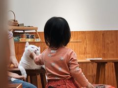 -有猫主题·治愈系猫咖(曾厝垵店)