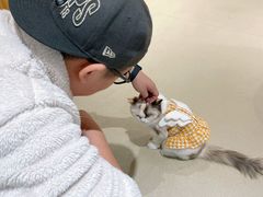 -藏猫猫咖啡主题馆(中央大道店)