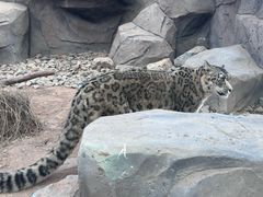 -青藏高原野生动物园