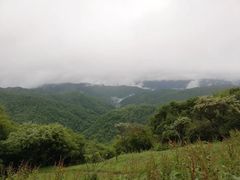 -关山草原