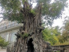 -荔湾博物馆