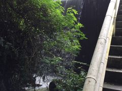 -广州市帽峰山景区