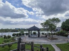 -上海鲜花港