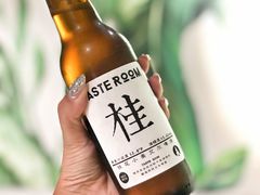 桂花啤酒-TASTE ROOM Bar