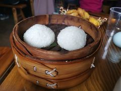 茨毛圆子-双塔老饭店
