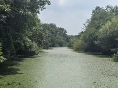 -溱湖国家湿地公园