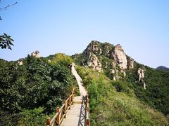 -大岭沟猕猴桃谷风景区
