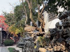 -怡园饭店-餐厅(四望亭店)