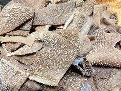 -东来顺铜锅炭火涮肉(上地华联店)